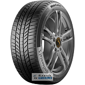 Continental ContiWinterContact TS 870 P 205/55 R19 97H XL