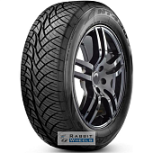 Nitto NT420S 295/30 R22 103W