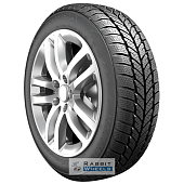 RoadX RXFrost WH01 205/45 R16 87H